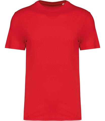 NS300 POP 5XL