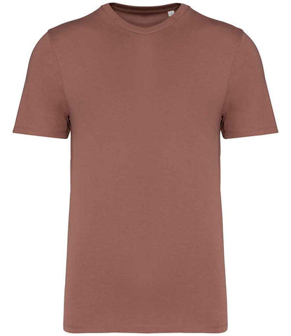 NS300 SIE 5XL